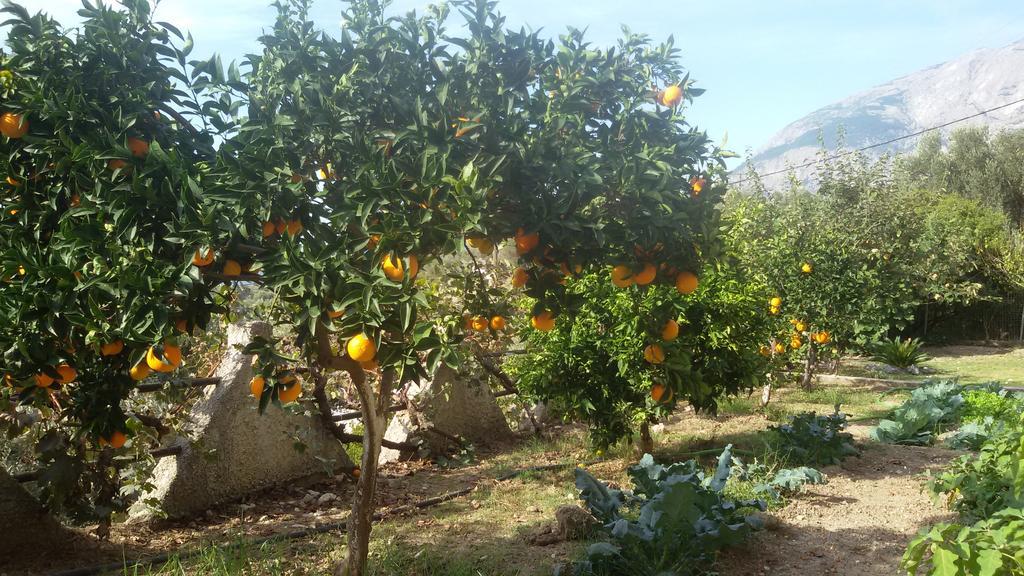 מאראת'וקאמפוס Thalina Hotel מראה חיצוני תמונה